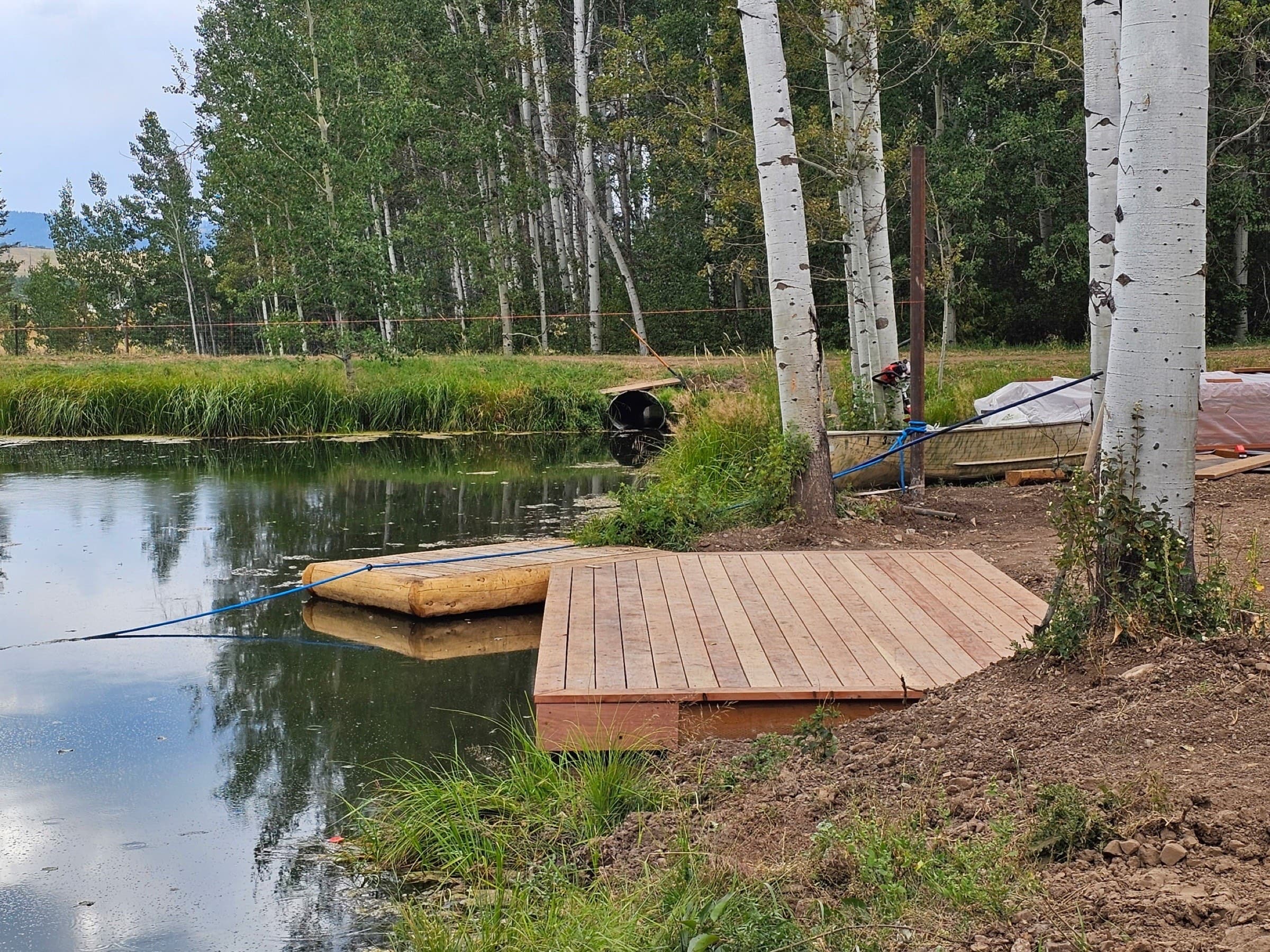 Angled wood dock decking beside a pond lined with birch trees