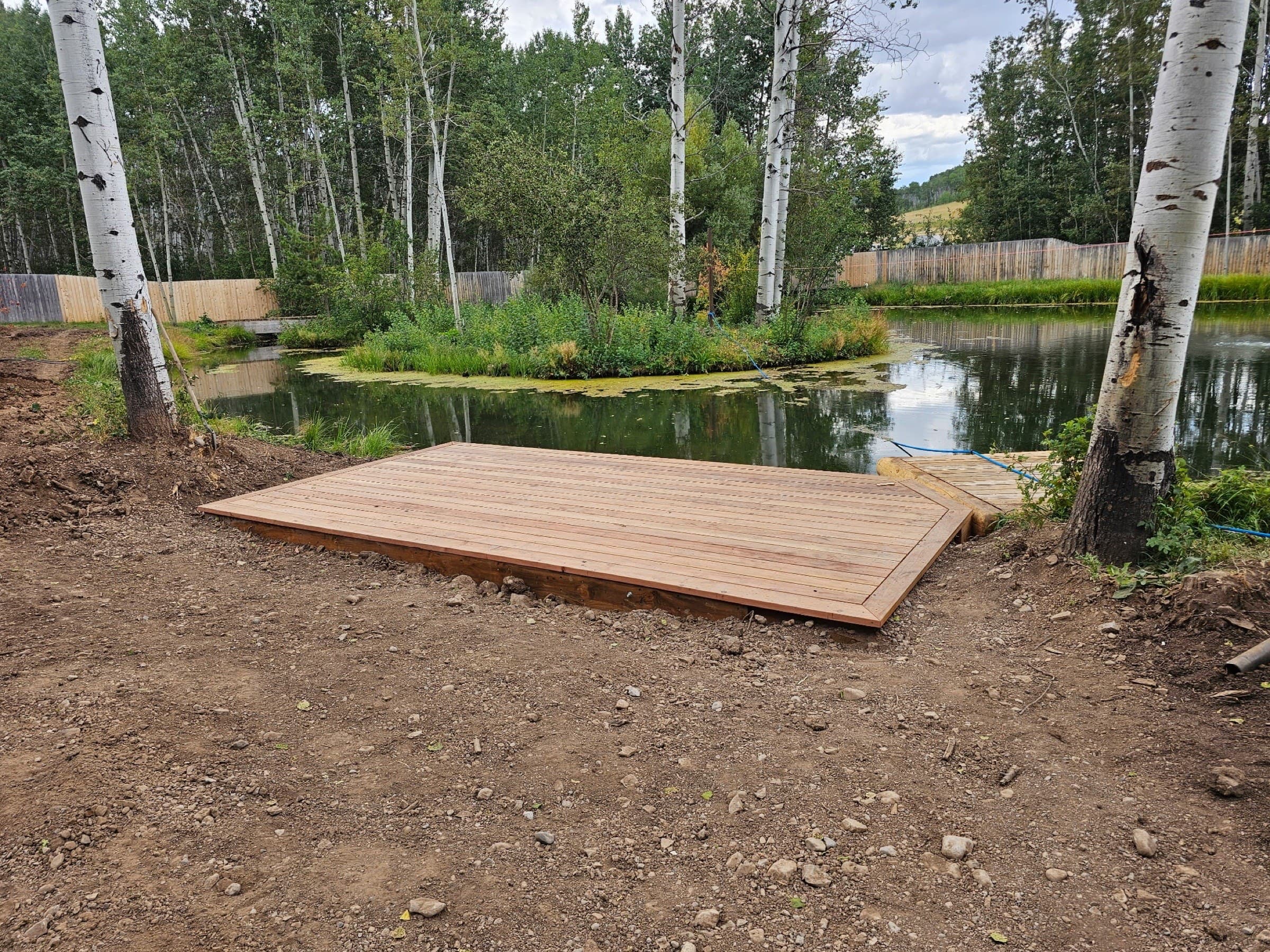 New cedar dock platform on a pond bank framed by aspens